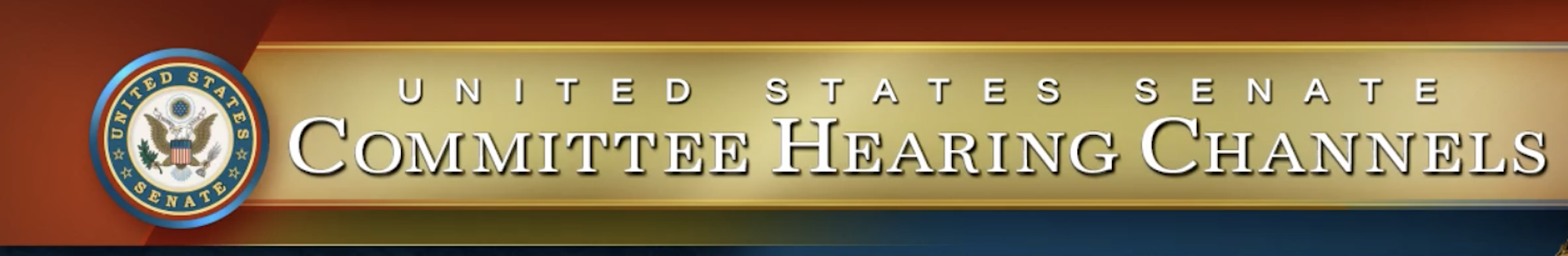 Testimony before the U.S.-China Economic and Security Review Commission